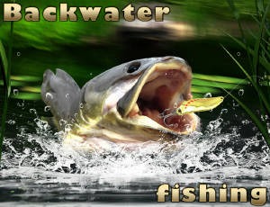 Play Backwater Fishing