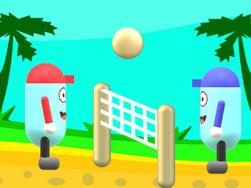 Play Beach Volleyball