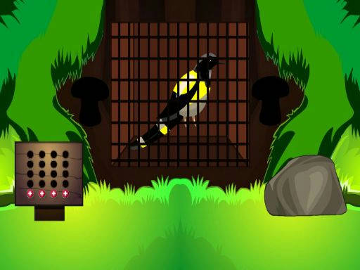 Play Black Bird Escape