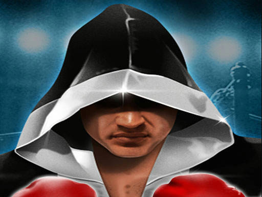 Play Boxing Hero