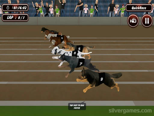 Play Crazy Dog Racing Simulator Games 3D