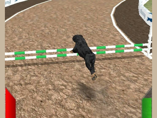 Play Crazy Real Dog Race