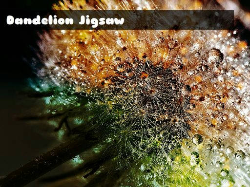 Play Dandelion Jigsaw