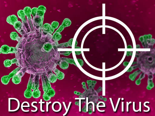 Play Destroy The Virus