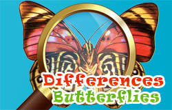 Play Differences Butterflies