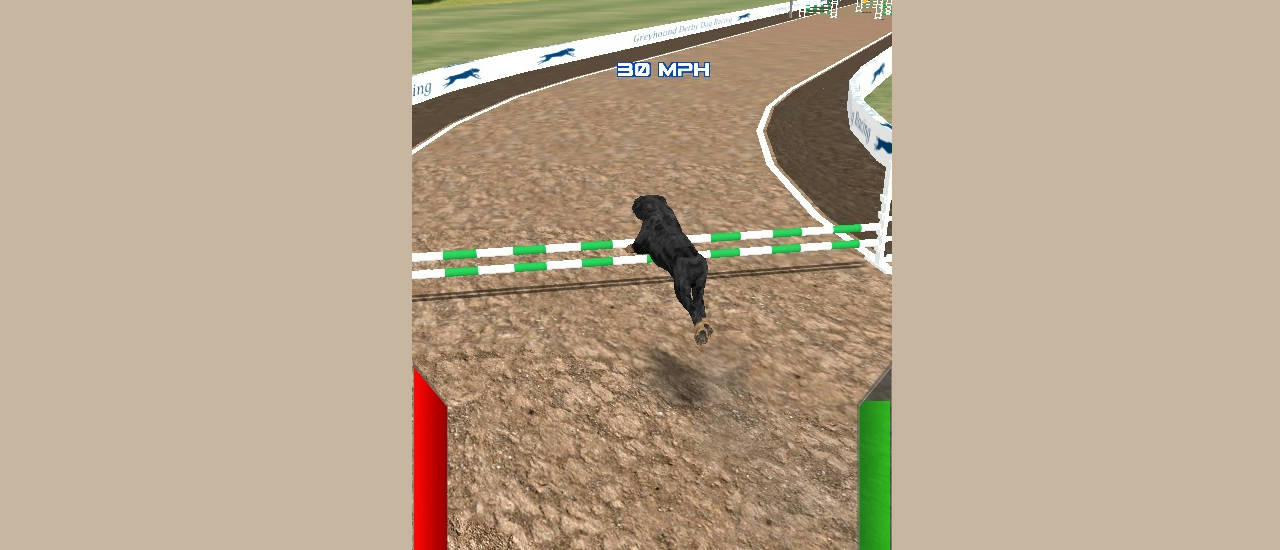 Play Dog Racing Simulator