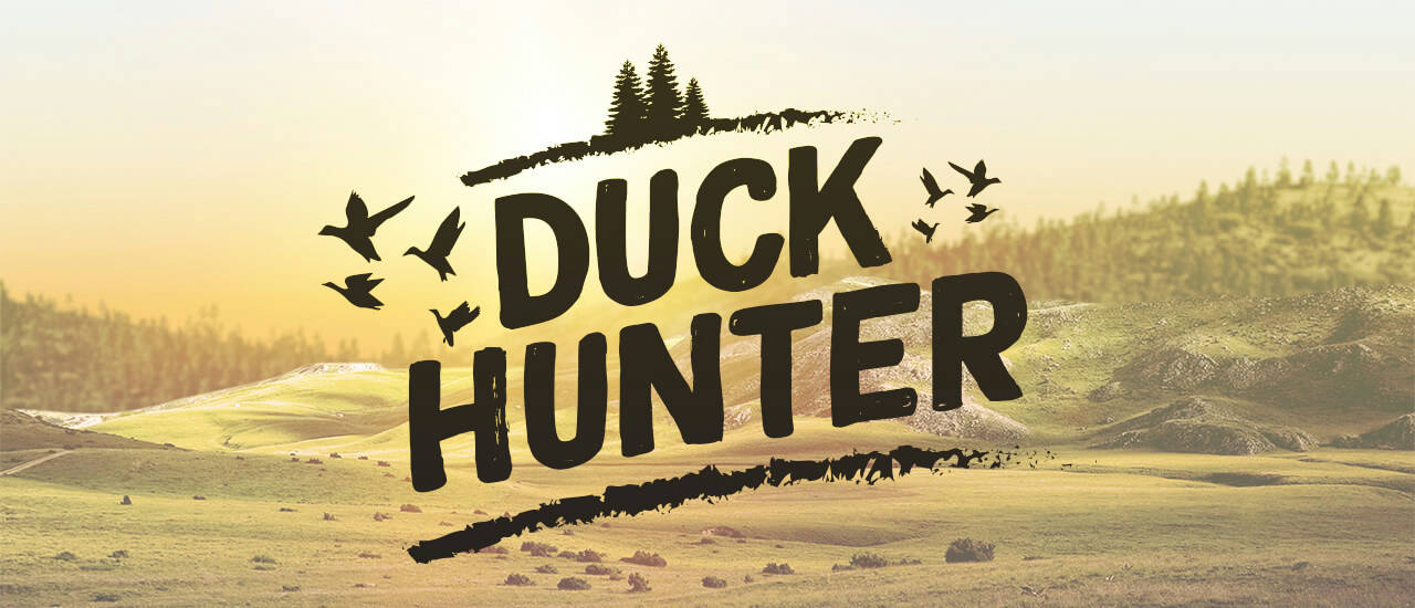 Play Duck Hunter