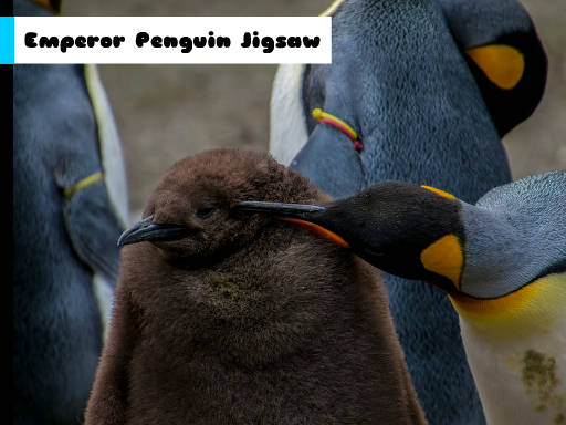 Play Emperor Penguin Jigsaw