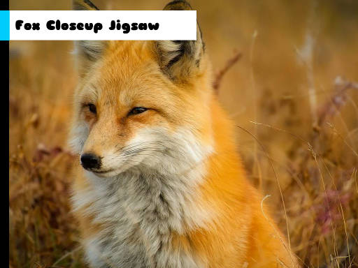 Play Fox Closeup Jigsaw