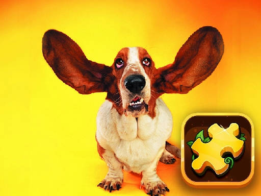 Play Funny Dogs Puzzle