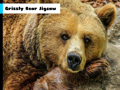 Play Grizzly Bear Jigsaw