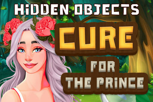 Play Hidden Objects Cure For The Prince