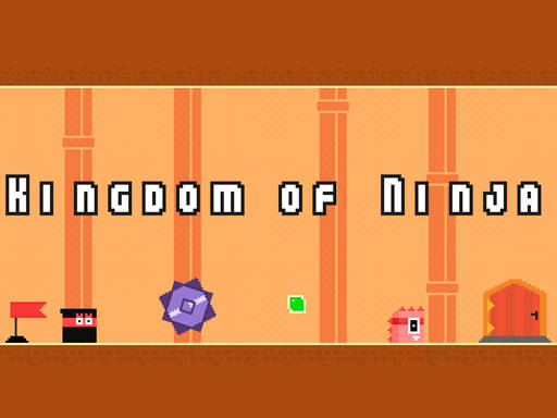 Play Kingdom of Ninja