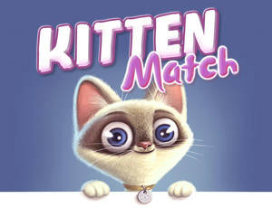 Play Kitten Match