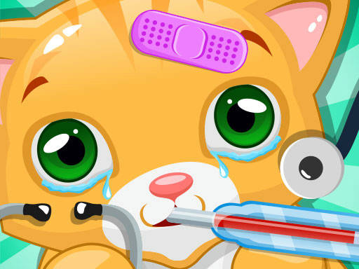 Play Little Cat Doctor Pet Vet Game