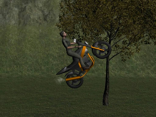 Play Mountain Bike Rider