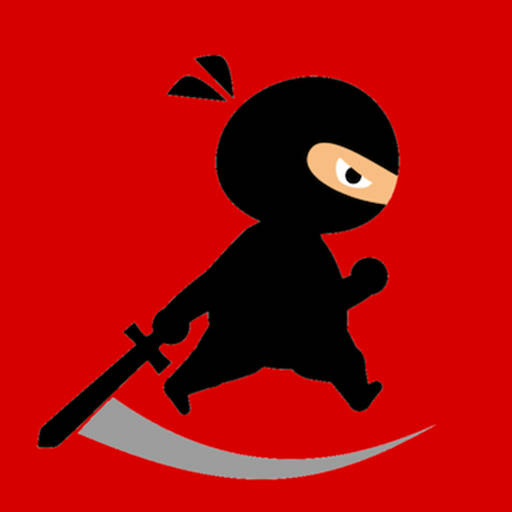 Play Mr Ninja Fighter