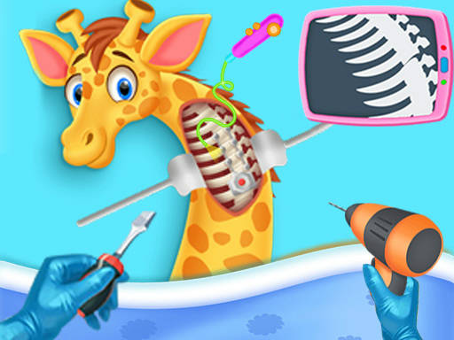 Play My Pet Vet Hospital