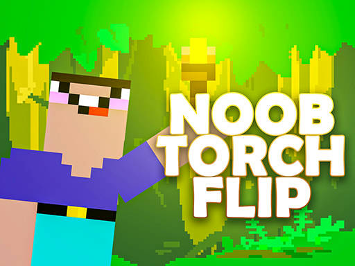 Play Noob Torch Flip 2D