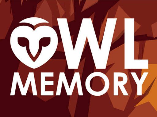 Play Owl Memory