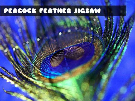 Play Peacock Feather Jigsaw