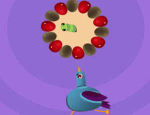 Play Pigeon Game Online