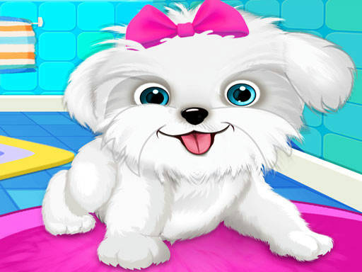 Play Puppy: Pet Salon & Dog Daycare