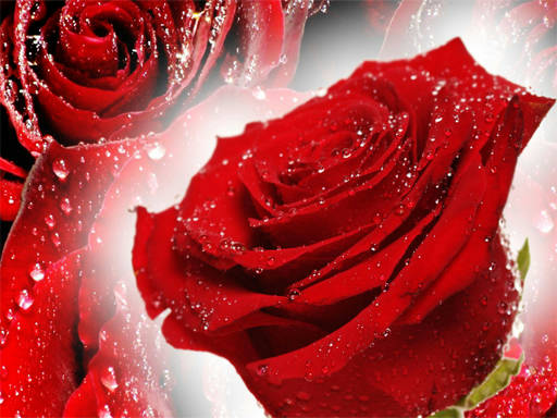 Play Red Roses Puzzle