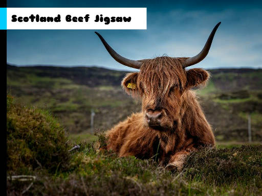 Play Scotland Beef Jigsaw