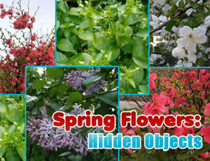 Play Spring Flowers: Hidden Objects