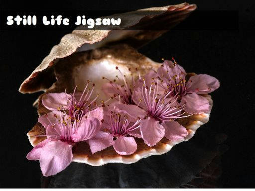 Play Still Life Jigsaw