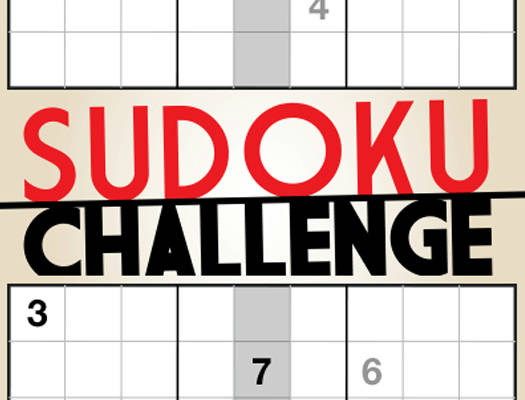 Play Sudoku Challenge