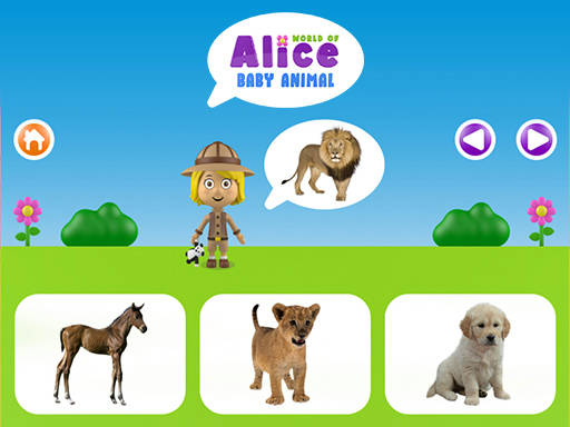 Play World of Alice - Baby animal