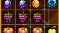 1010 Fruits Farming