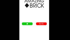 Amazing Brick