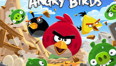 Angry Bird Jungle