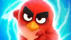 Angry Bird