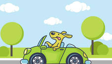 Animal Happy Drive Coloring