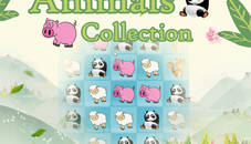 Animals Collection