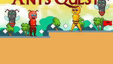 Ants Quest