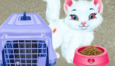 Baby Taylor Pet Care