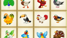 Birds Board Puzzles