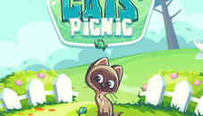 Cats Picnic