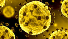 Coronavirus Slide