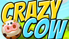 Crazy Cow