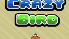 Crazy Flappy