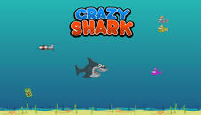 Crazy Shark