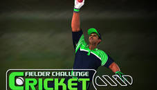 Cricket Fielder Challenge Game