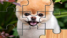 Cute Dogs Jigsaw Puzlle