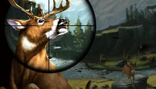 Deer Hunter